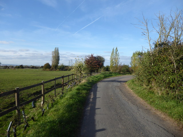 Lane near Decoy Farm