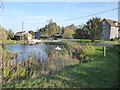 The pond at Newlands Farm