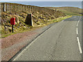 Two Post Boxes at West Yell