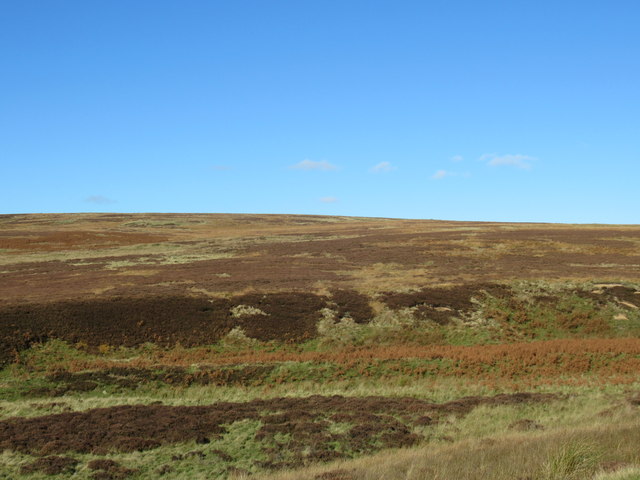 The very edge of the south-east ridge of Constable Hill north of Braidshawrig in the Scottish Borders