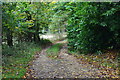 Private track into woods off Lyndhurst Road