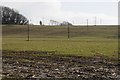 Electricity poles in a field of winter cereals