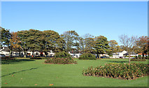 NX1897 : Autumn at Victory Park Garden, Girvan by Billy McCrorie