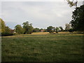 Grassland at Octon