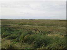 TG0345 : Tidal  marshes  from  coastal  path by Martin Dawes