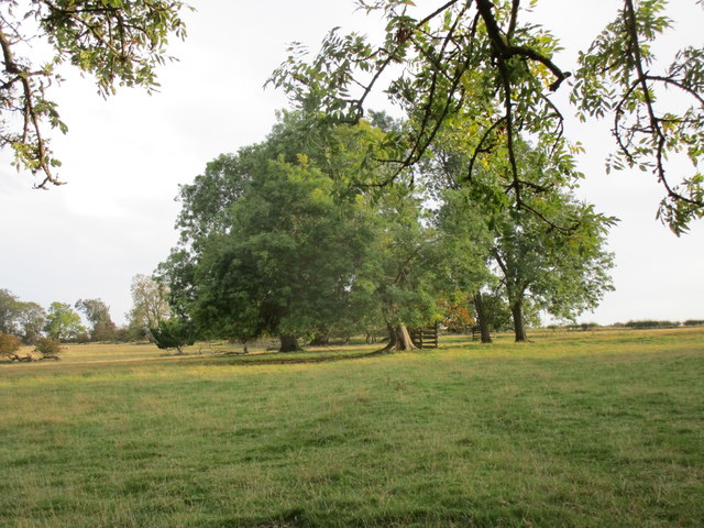 Site of St. Michael's church, Octon