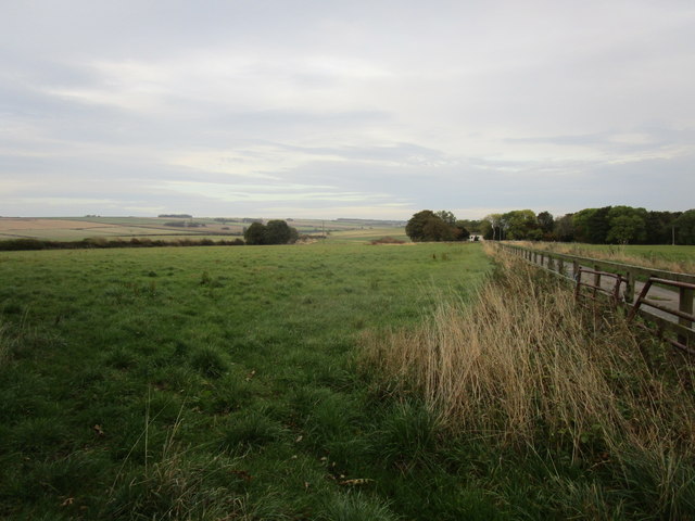 Grassland near Octon Grange