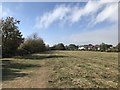 Open area at Jubilee Park