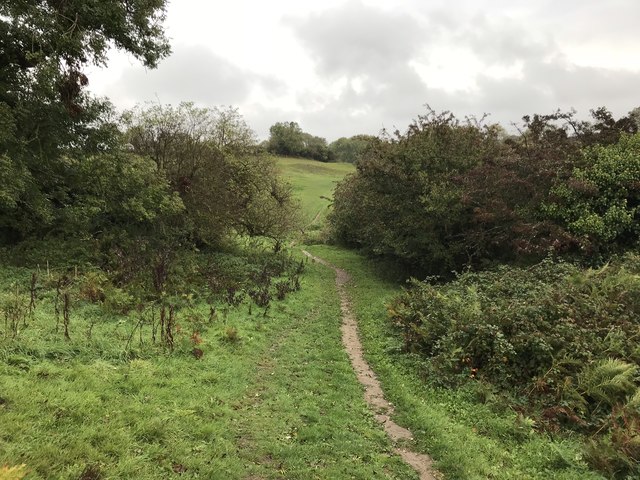 Path skirting Lincombe