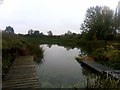 River Chelmer below the weir, Chelmsford