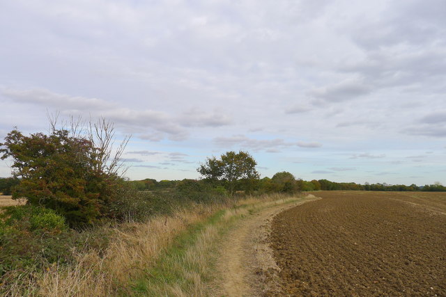 The Essex way east of Toot Hill