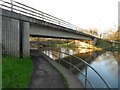 River Itchen: A27 Mansbridge Road bridge