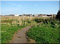 Footpath at the north end of Critten