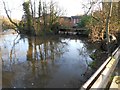 River Itchen: Gaters Mill and Bypass Channel