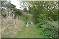 Ford across the River Roding