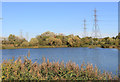 View from the hide