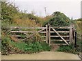 A gate on the bridleway