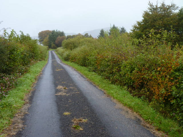 Road to Ardlui farm