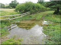 SU8695 : Hughenden Stream: Start point in August 2016 by Nigel Cox