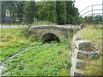 SU8695 : Hughenden Stream: Hughenden Park access bridge by Nigel Cox
