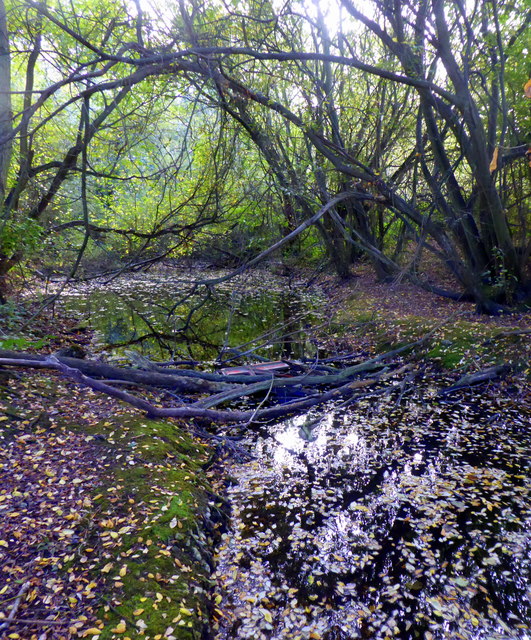 Oare Gunpowder Works Country Park Near Pam Fray Cc By - 