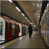 TQ2982 : Euston Underground Station by N Chadwick