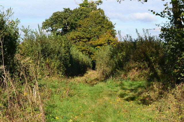 Bridleway north from Southwick