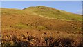 Above the Dalveen Pass