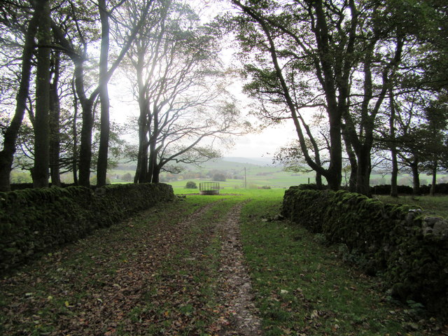 Path through Horseshoe Plantation