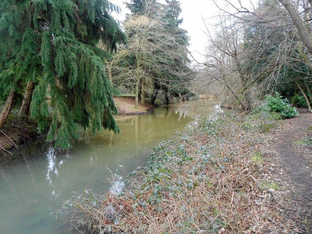 Windlesham Arboretum: Pond by Oldhouse Lane (2)