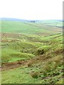 Incised meanders on Pyatshaws Burn