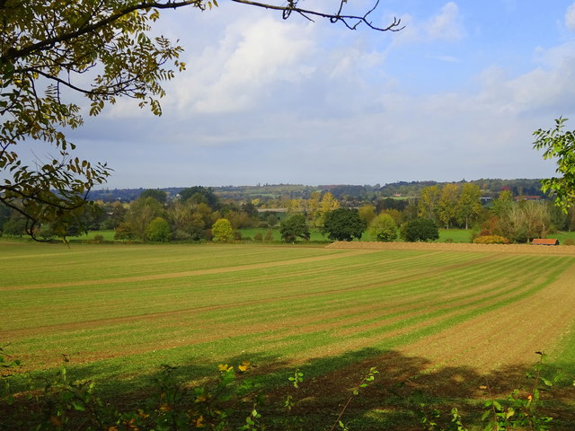 View from small lay-by; Stratford Road; Dedham