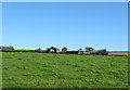 Grazing off Tunshill Lane