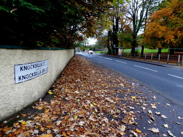 Fallen leaves along Hospital Road, Omagh
