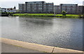 View from Victoria Embankment across River Trent to Wilford Lane housing