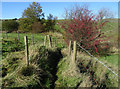 Footpath towards Wardle