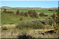 Farmland near Wardle