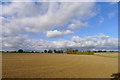 Ploughed field by the Essex Way