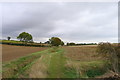 The Essex Way alongside Waltambury Brook