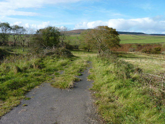 Road near Bogarrie Farm