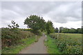 Whites Lane leading to Great Leighs