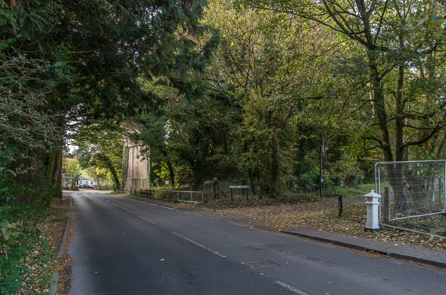 Woldingham Road
