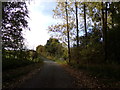 Bridge on Vernons Road