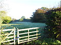 Field between High Cross (road) and St Peter