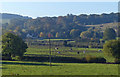 Countryside at Charnwood Forest