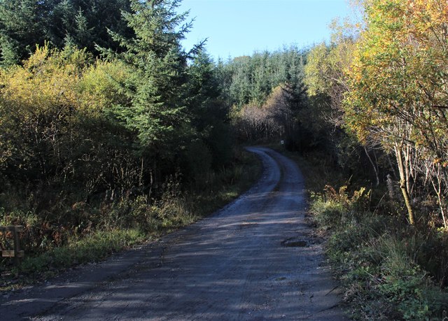 Shady road to Dunamuck Cottage