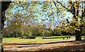 Autumn in the Park