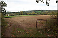 Farmland, Goosenford