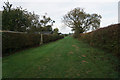 Path leading to Bustardnest Fox Covert