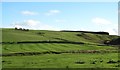 NU0011 : Ridge and furrow near Alnham by Gordon Hatton